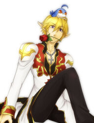 high priest (ragnarok online) from ragnarok online