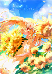 diamond queen from kaitou joker