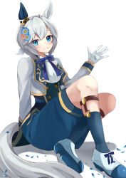 seiun sky (soiree de chaton) (umamusume) from umamusume