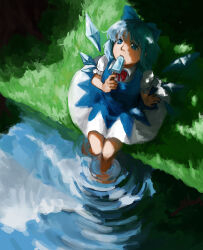 cirno from touhou