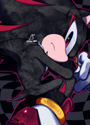 shadow the hedgehog from sonic (series)