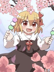 rumia from touhou by rokugou daisuke