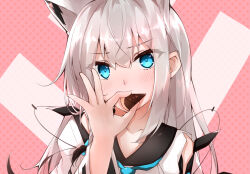 kawakaze (azur lane) from azur lane