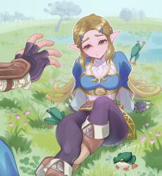 link from the legend of zelda