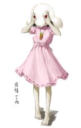 inaba tewi from touhou