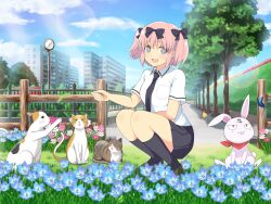 hibari (senran kagura) from senran kagura