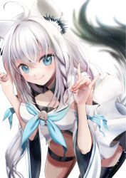 shirakami fubuki from hololive