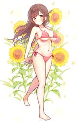 mizuhara chizuru from kanojo okarishimasu