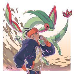 flygon from pokemon by honoboooono