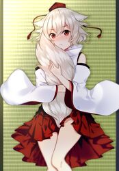 inubashiri momiji from touhou by chieezuik