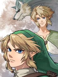 link from the legend of zelda