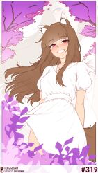 holo from spice and wolf
