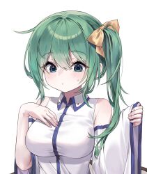daiyousei from touhou