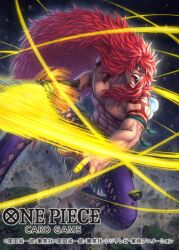 calgara from one piece by tatsuya (atelier road)
