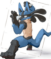 lucario from pokemon