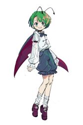 wriggle nightbug from imperishable night