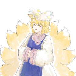 yakumo ran from touhou