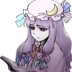 patchouli knowledge from touhou