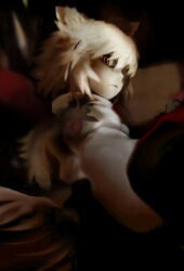 inubashiri momiji from touhou by futon (kitsune tsuki)