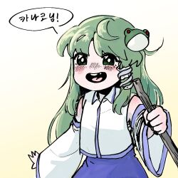 kochiya sanae from touhou