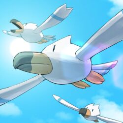 wingull from pokemon by spicyichizo
