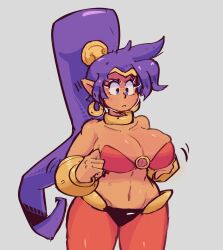 shantae fan art