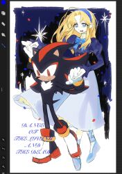 maria robotnik from sonic (series)