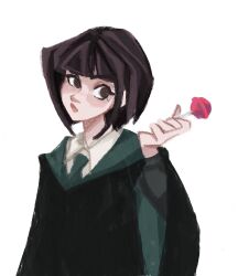 pansy parkinson from harry potter (series)