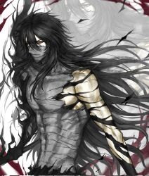 kurosaki ichigo from bleach