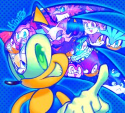 amy rose from sonic (series)