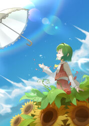 kazami yuuka from touhou