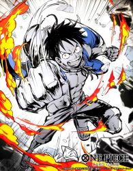 monkey d. luffy from one piece