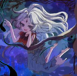 houjuu chimi from touhou by tsukikusa