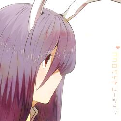 reisen udongein inaba from touhou by ichihaya
