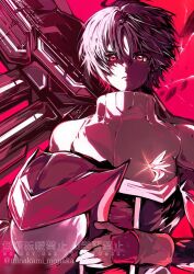 shinn asuka from gundam