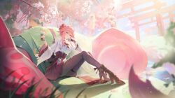 evanescia (honkai: star rail) from honkai: star rail