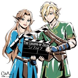 link from the legend of zelda