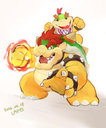 bowser from super mario bros.