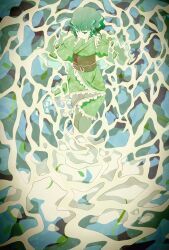 wakasagihime from touhou