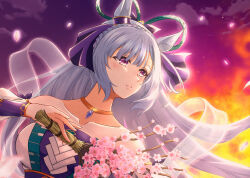 mejiro ardan (umamusume) from umamusume