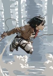 mikasa ackerman from shingeki no kyojin