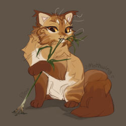 warrior cats fan art