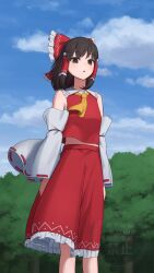 hakurei reimu from touhou