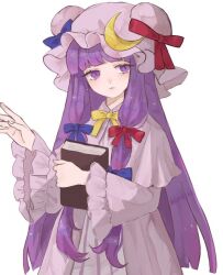 patchouli knowledge from touhou