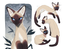 warrior cats fan art