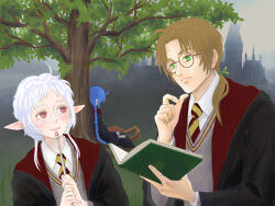 harry potter from harry potter (series)