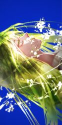 fate/grand order fan art