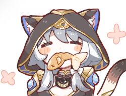 cipher (honkai: star rail) from honkai: star rail
