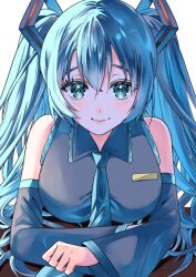 hatsune miku from vocaloid by eroriru