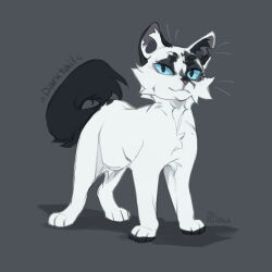 warrior cats fan art